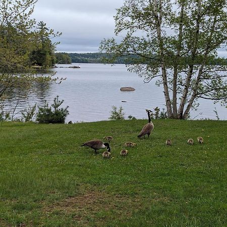Alamoosook Lakeside Inn 올랜드 외부 사진